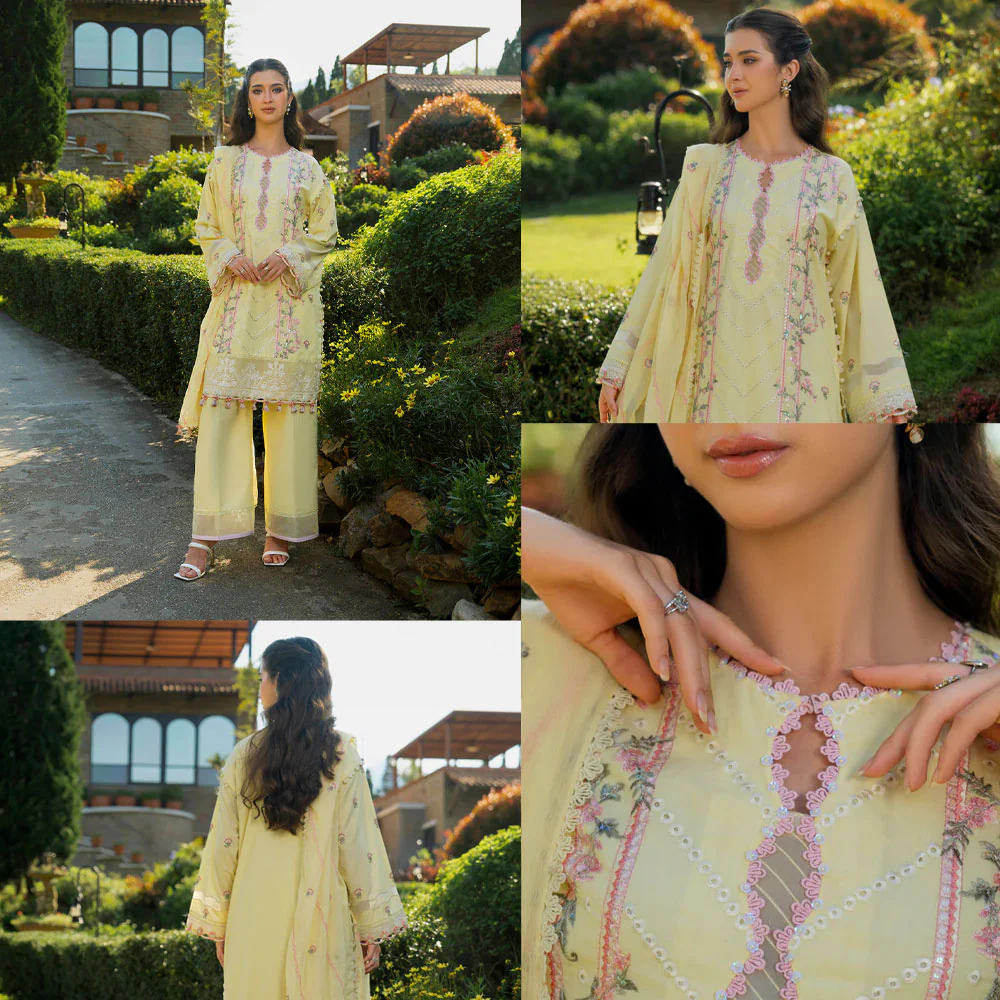 Timeless Elegance, Modern Pakistani Style